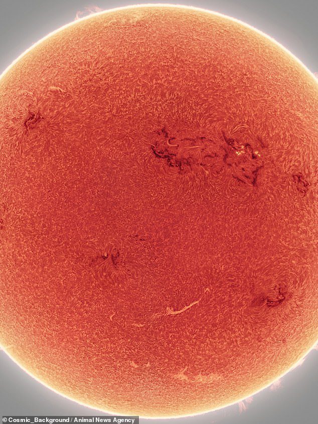 The image captures dark spots, known as active regions, on the surface of the Sun as well as bright sunspots erupting from the fireball.
