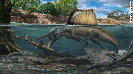 A dinosaur bigger than a T. rex swam and hunted underwater