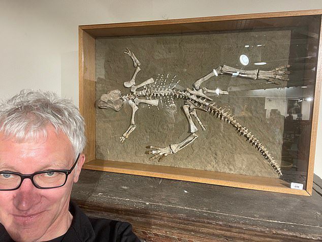 The 54-year-old man (pictured Tom Holland) went with his father to the sale in Woolley & Wallis, of Salisbury, Wales, to make a presentation on the skeleton of a Psittacosarus (parrot lizard) 97.5 to 119 million years old