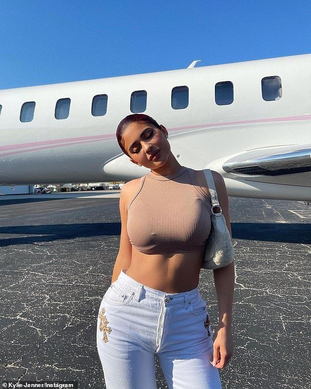Jet Set: Last month, the billionaire was photographed taking a quick 30-minute one-day flight to Palm Springs, California on her custom jet